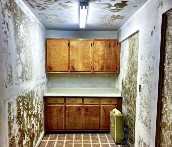 Mold damage on the floor and walls of a Franklin, NC home