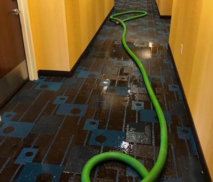 Wet carpet with a green tube laying on it.