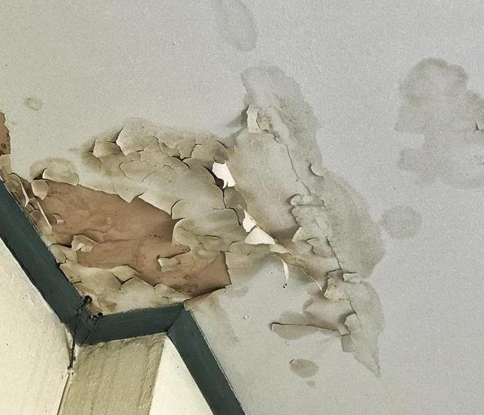 water ceiling damage