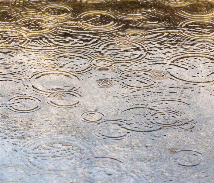 Close up shot of a puddle of water.
